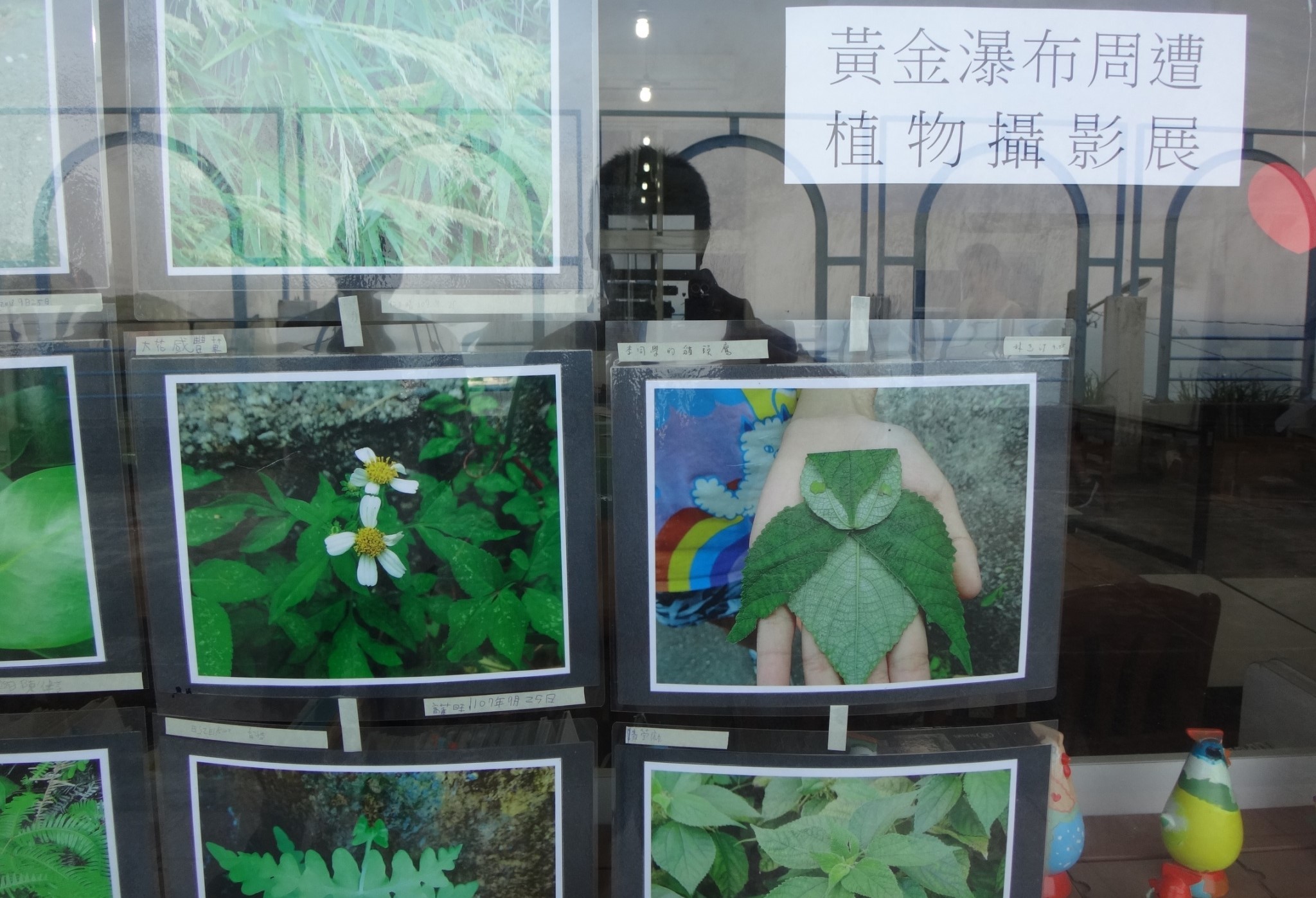 黃金瀑布大搜奇7