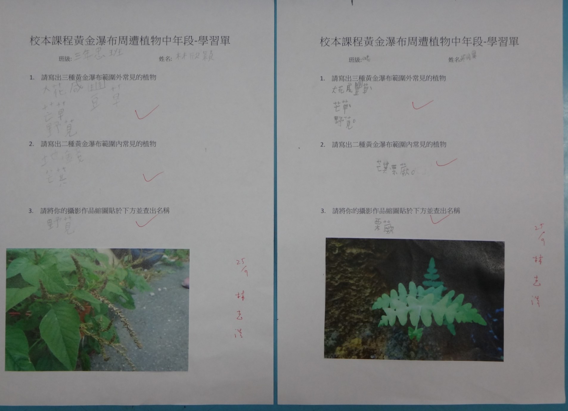 黃金瀑布大搜奇11