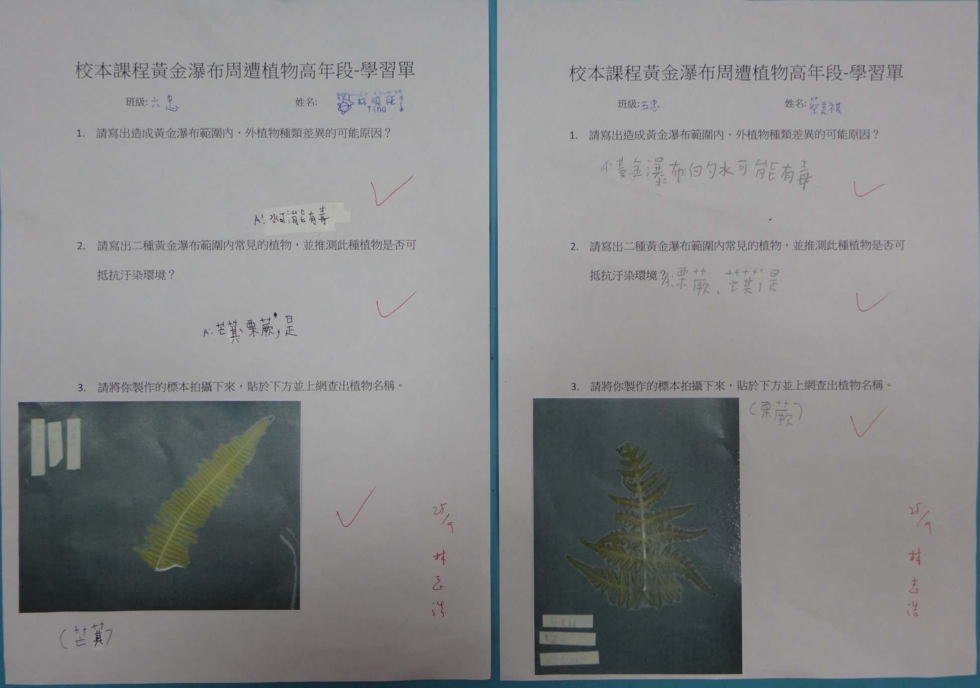 黃金瀑布大搜奇12